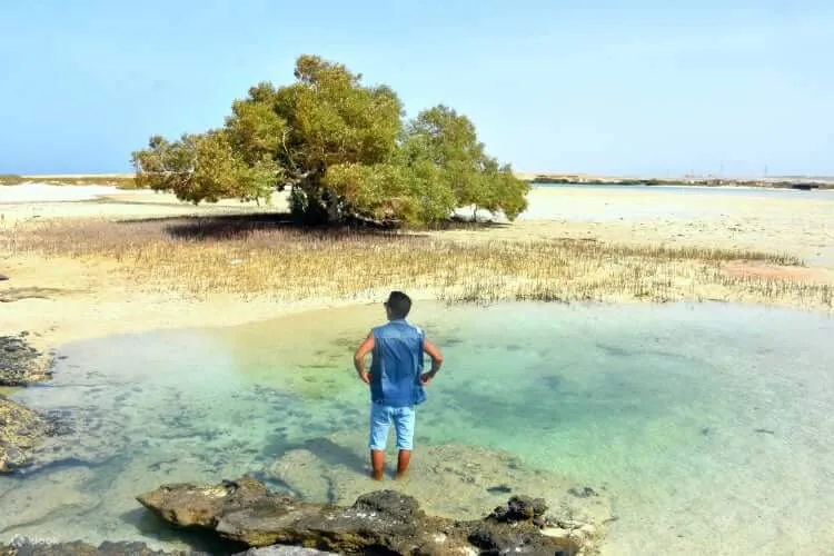 Marsa Alam Excursions Guide - Explore the Best Tours with Unbeatable Prices