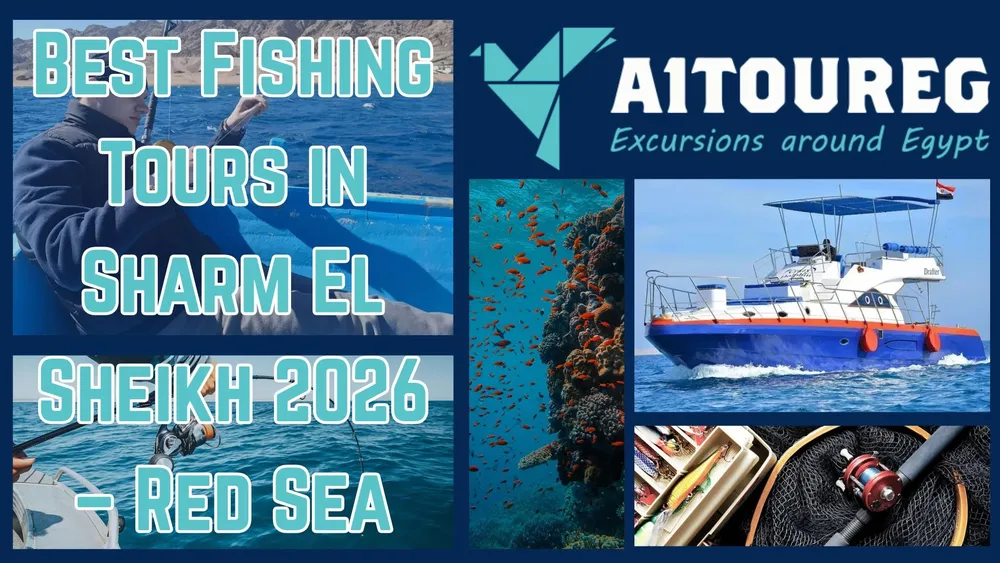 Best Fishing Tours in Sharm El Sheikh 2026 – Red Sea