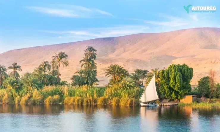 10 days cairo with nile cruise and red sea christmas holiday package