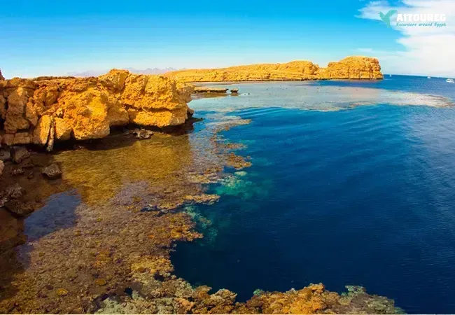 10 days marsa alam christmas holiday package