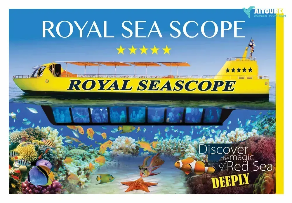 10 days marsa alam christmas holiday package