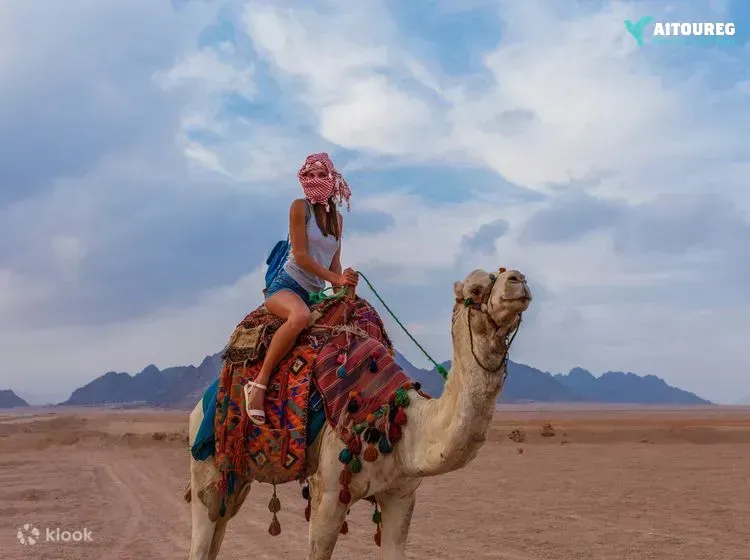 11 days travel package egypt and jordan