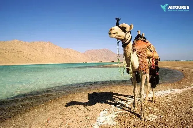 12 days marsa alam holiday package nile cruise and cairo