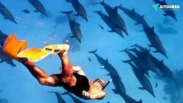 2-day itinerary to Marsa Alam from Hurghada.