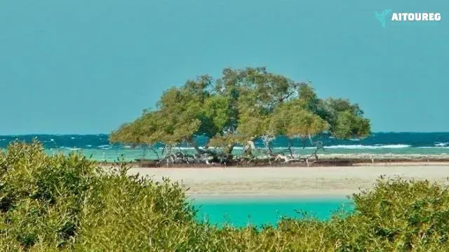 2 day itinerary marsa alam from sahel hashesh