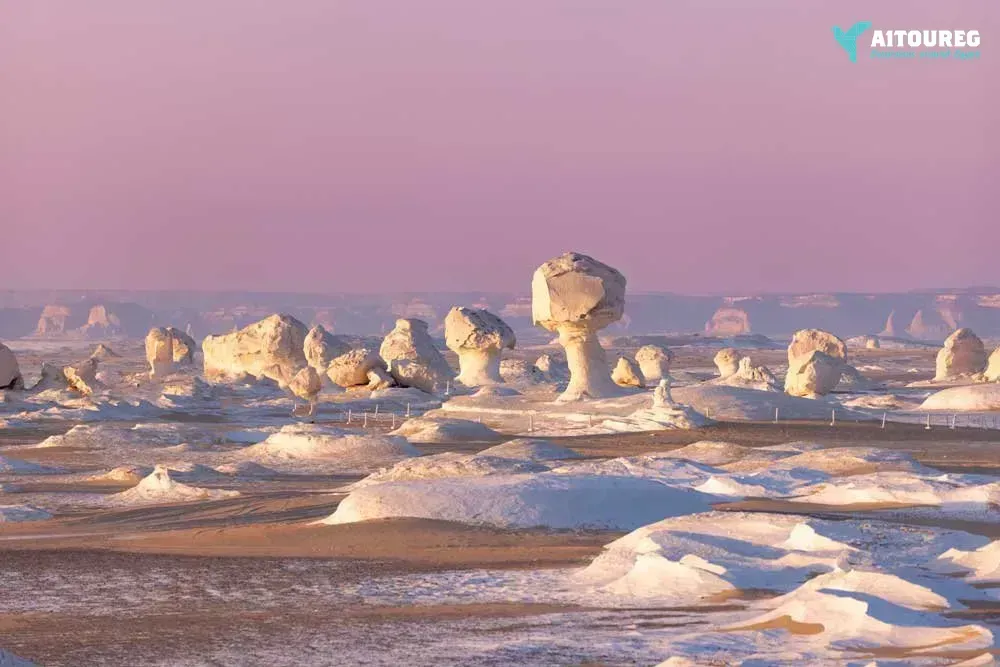 2 day tour to the white desert and bahariya oasis from hurghada by flight