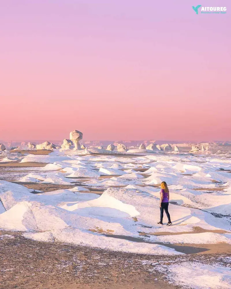 2 day tour to the white desert from sahel hashesh by flight