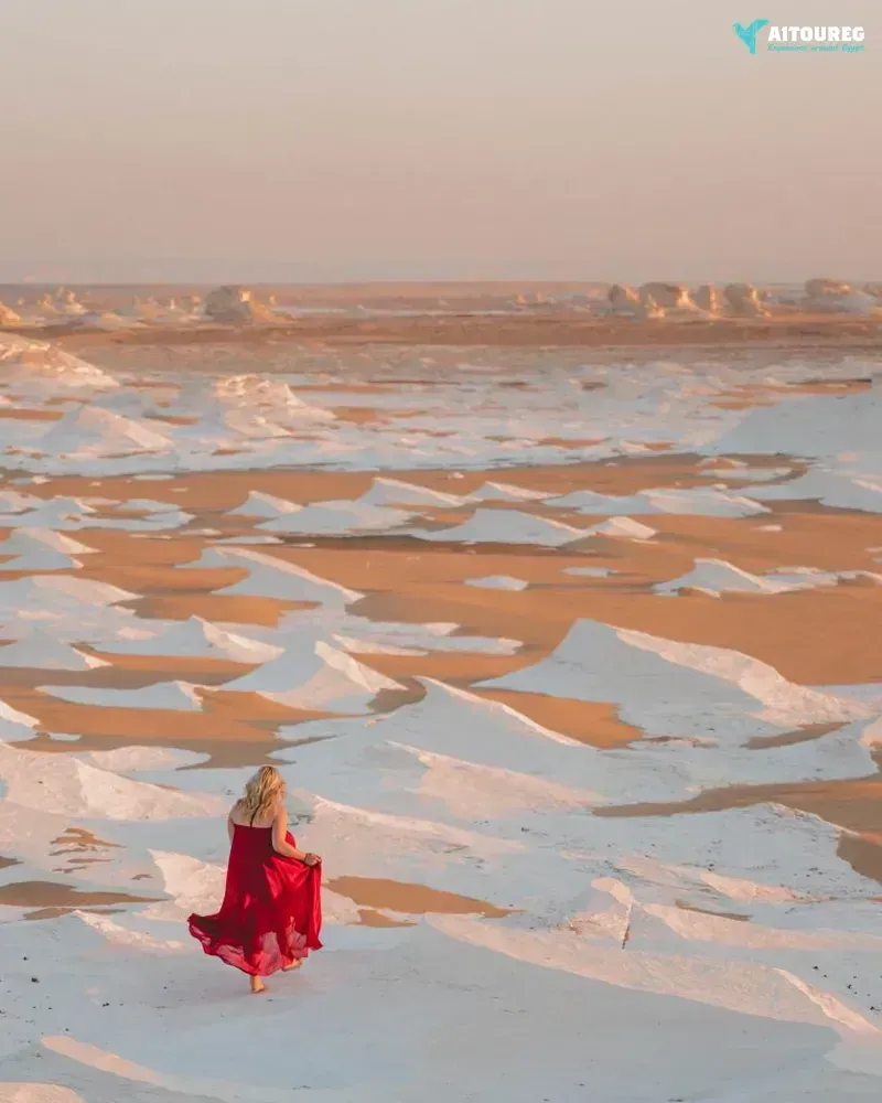2 day tour to the white desert from sahel hashesh by flight