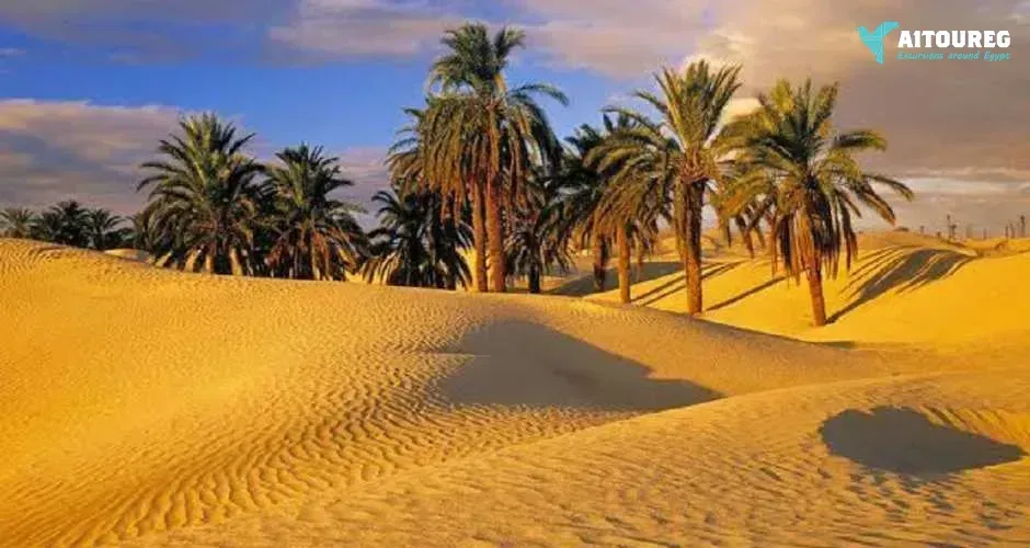 2 day trip fayoum oasis and wadi el hitan from alexandria