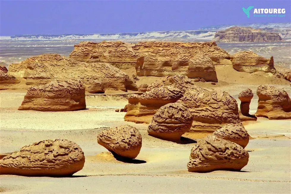 2 day trip fayoum oasis and wadi el hitan from alexandria
