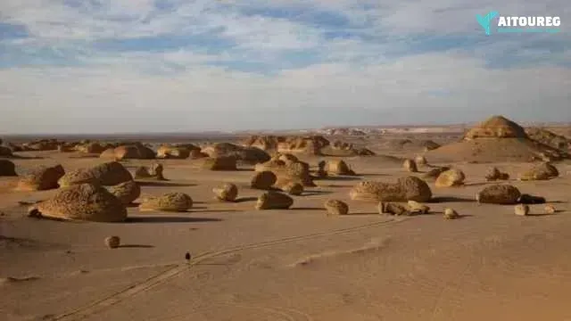 2 day trip fayoum oasis and wadi el hitan from hurghada