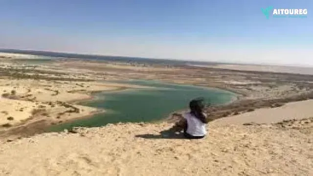 2 day trip fayoum oasis and wadi el hitan from hurghada