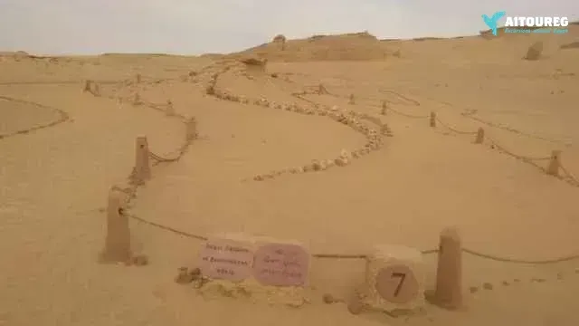 2 day trip fayoum oasis and wadi el hitan from hurghada