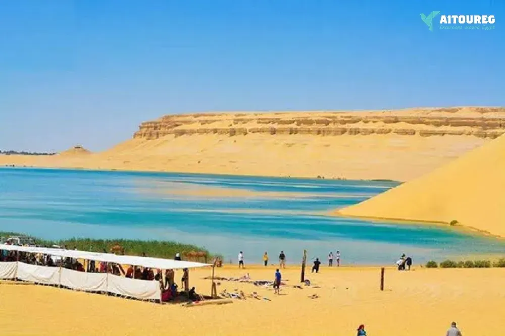 2 day trip fayoum oasis and wadi el hitan from sahel hashesh
