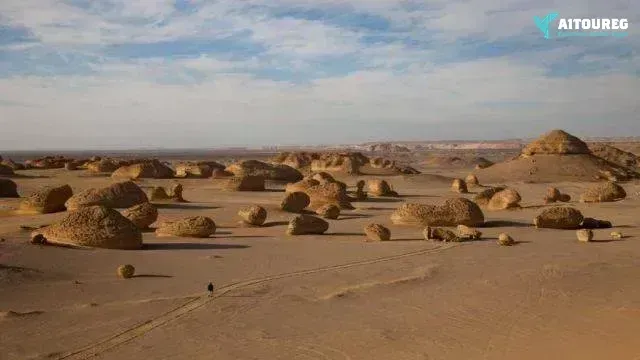 2 days camping trip to wadi el hitan from cairo