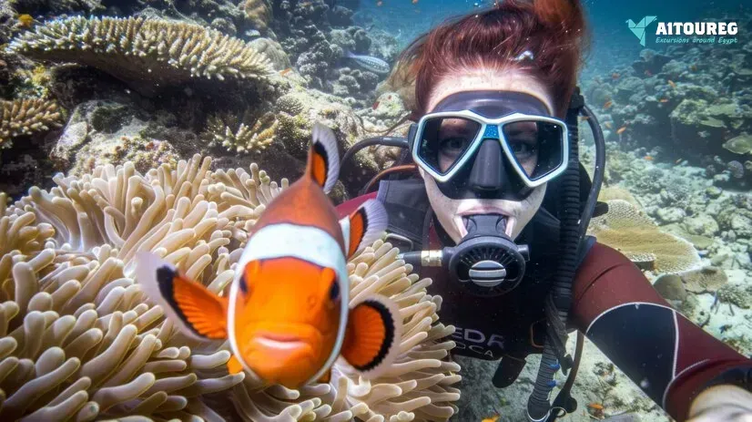 2 days scuba diving course excursions in portghalib
