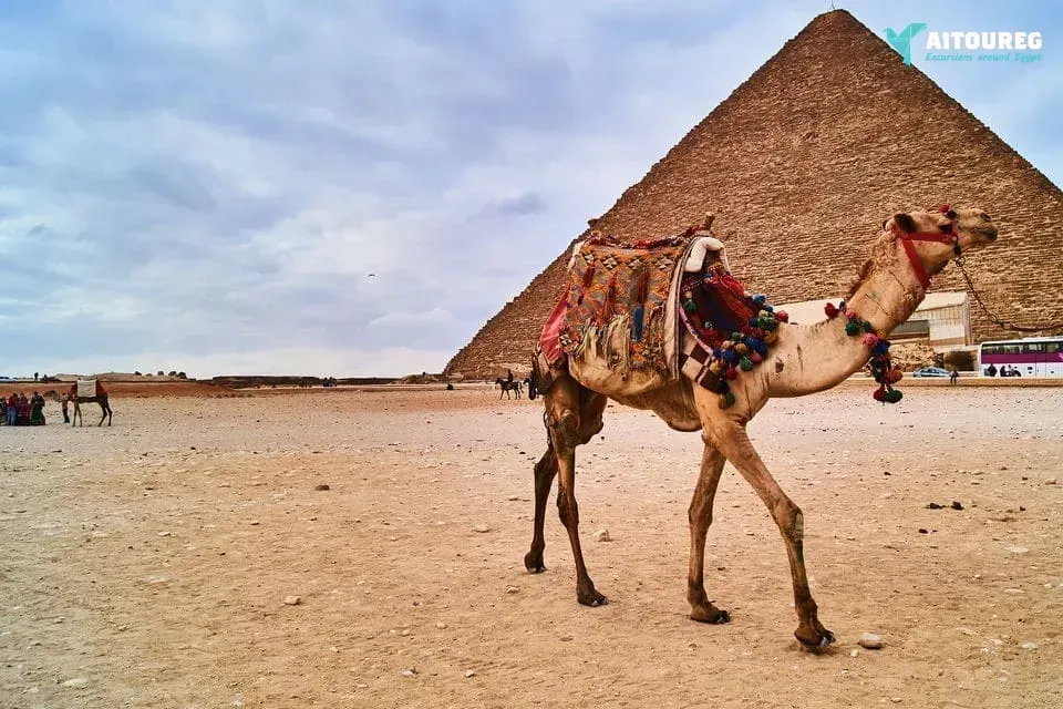 2 days trip to cairo and luxor from el gouna