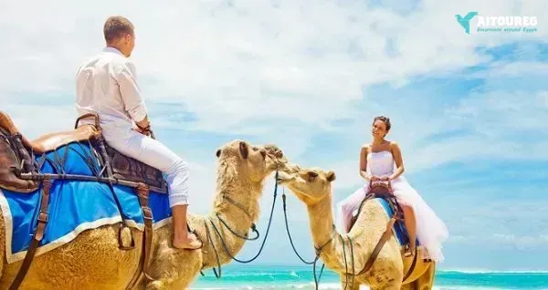 20 day travel package egypt honeymoon iternerary