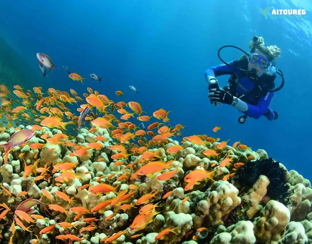 21 days egypt itinerary and marsa alam