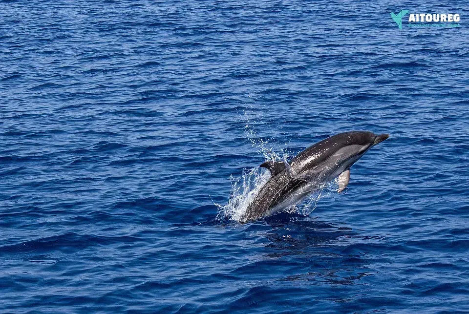 3-day itinerary for Marsa Alam from Hurghada.