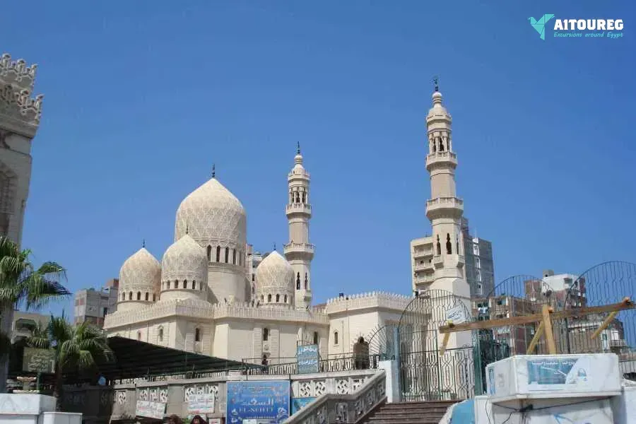 3 day trip to siwa oasis and alexandria from cairo