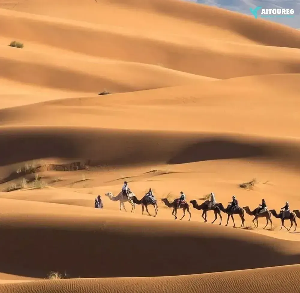 3 days summer offer trip to siwa oasis from cairo