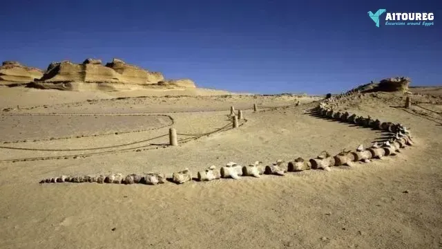 3 days trip wadi el hitan and fayoum oasis from cairo