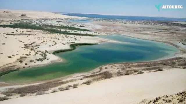 3 days trip white desert and wadi el hitan from cairo