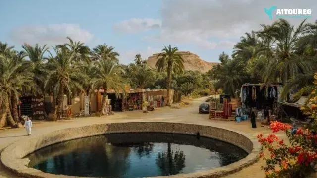 4 day trip to alexandria and siwa oasis from cairo