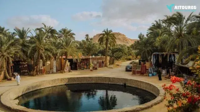 5 day trip to siwa oasis from cairo