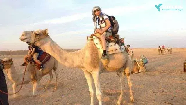 5 hours  desert safari trip by jeep from makadi
