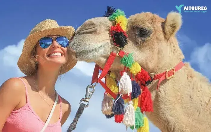 Ultimate 7-Day Egypt Itinerary: Cairo, Luxor & Aswan Highlights