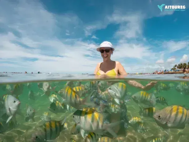 7 day tour packages from marsa alam