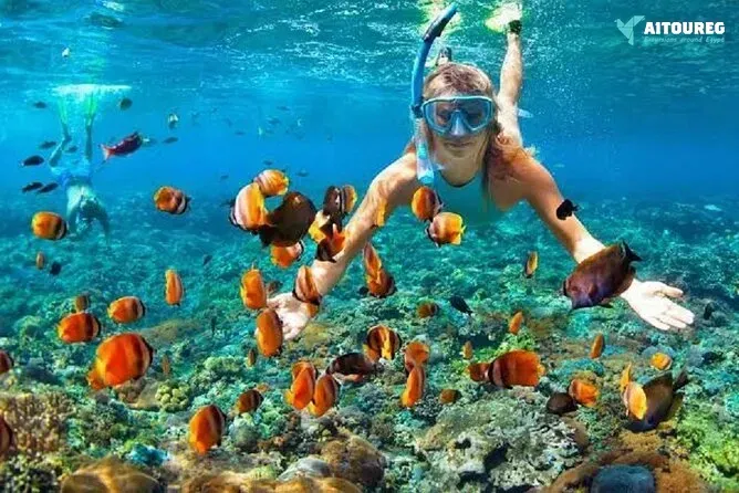 7 days special request cairo aswan and hurghada