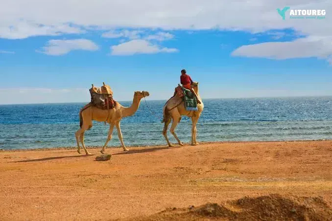 8 day egypt travel package