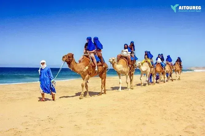 8 day egypt travel package