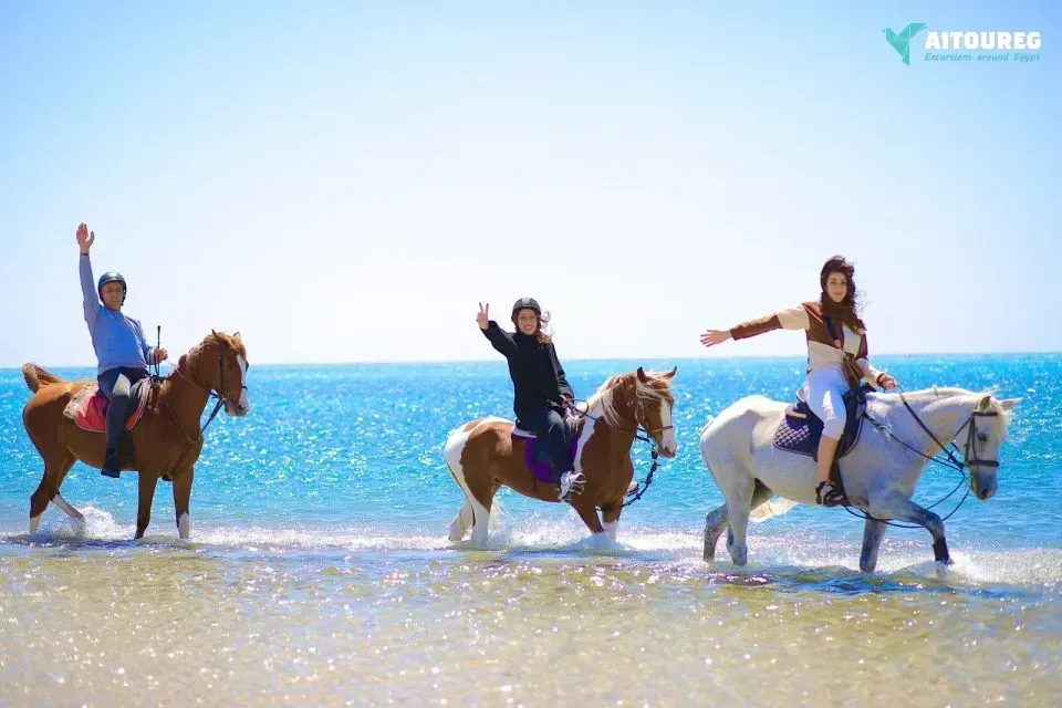 8 day marsa alam and nile cruise holiday package