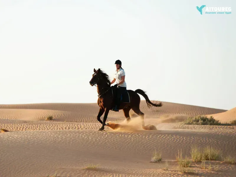8 days egypt itinerary cairo and nile cruise