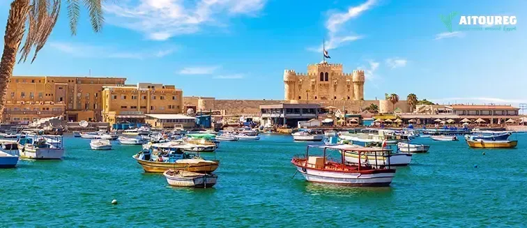 8-Day Cairo, Nile Cruise & Alexandria Exploration Tour