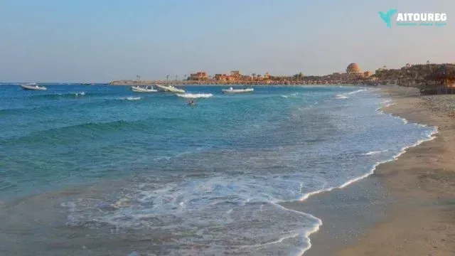 Abu dabbab dugong bay el gouna egypt excursions