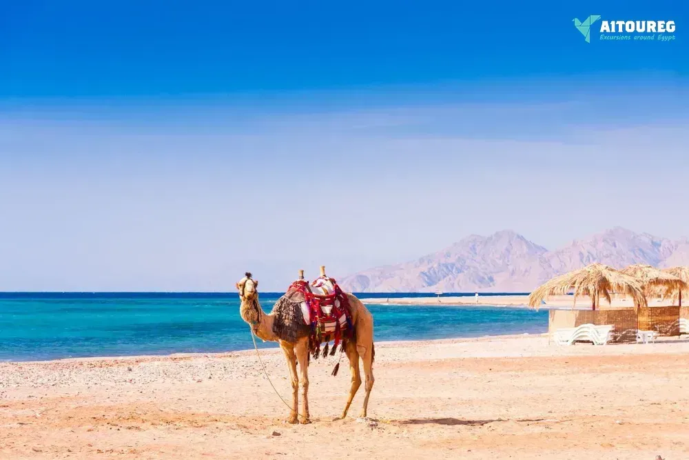 Amazing 16 days egypt itinerary