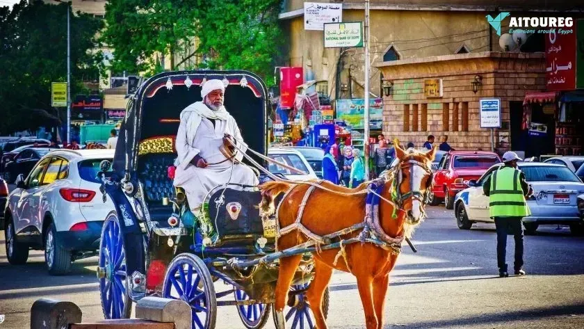 Aswan city tour by horse carriage