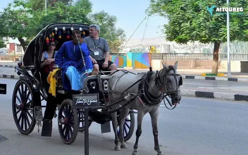 Aswan city tour by horse carriage