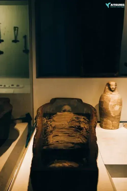 Day Trip by Flight from Marsa Alam to Cairo: Explore Pyramids & Museum