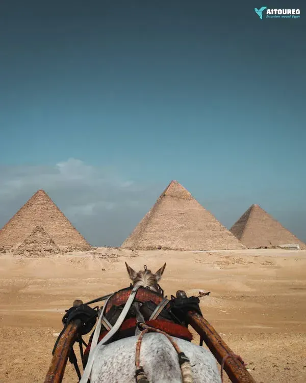 Cairo day tour from portghalib