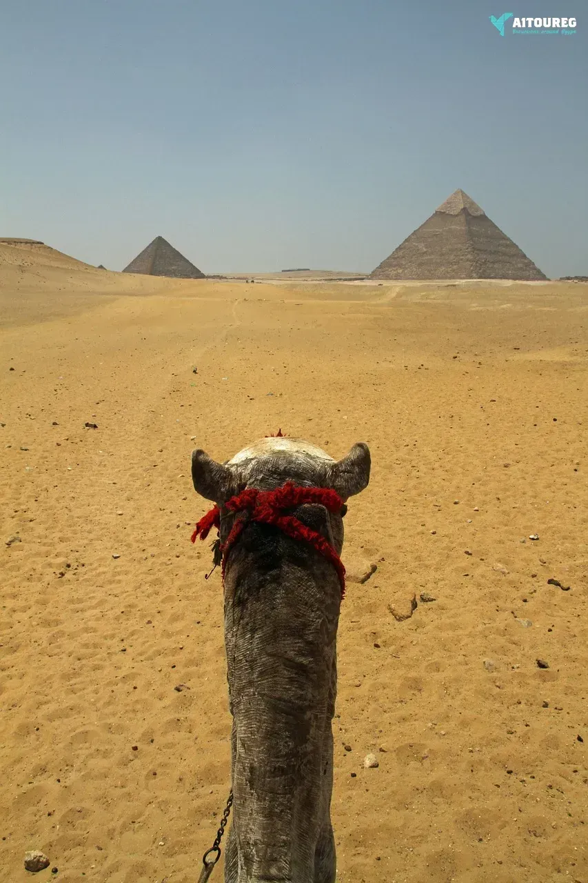 Cairo day trip from hurghada by flight