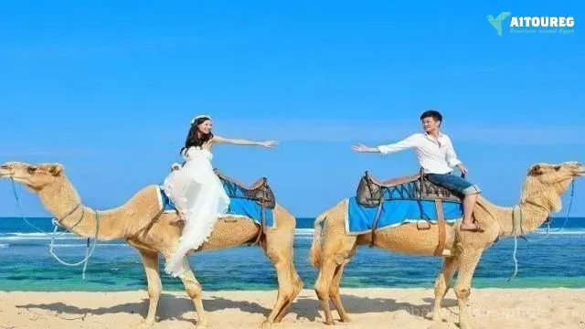 Kamelreiten Marsa Alam Tagestour