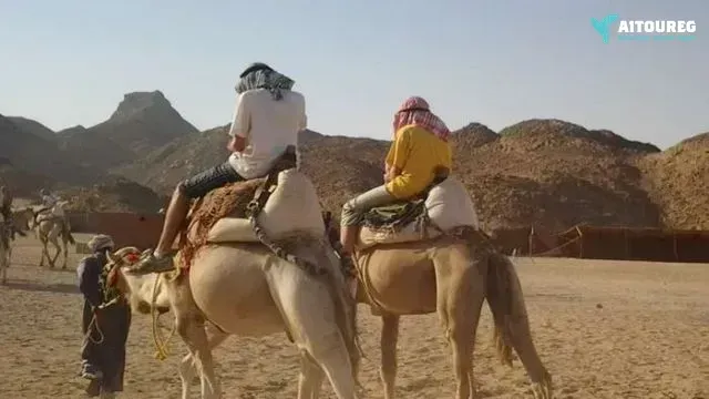 Camel riding portghalib day tour