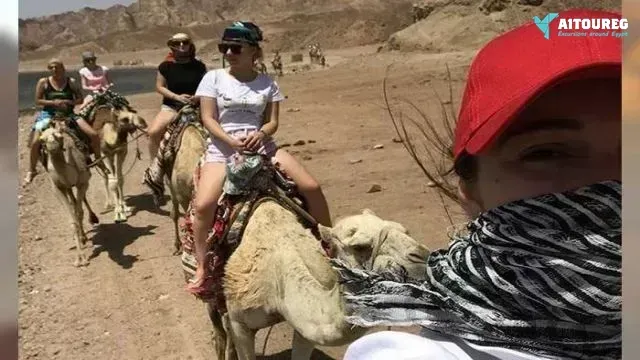 Camel riding portghalib day tour