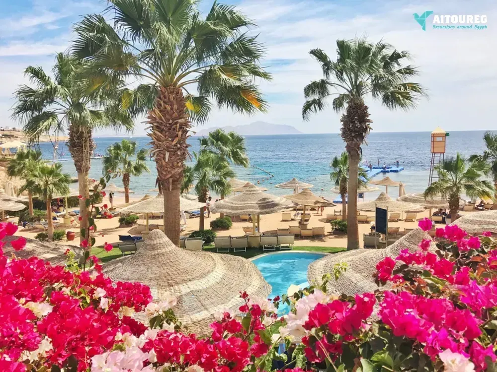 City tour from sharm el sheikh port